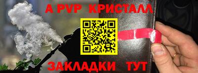 PSILOCYBIN Камышлов