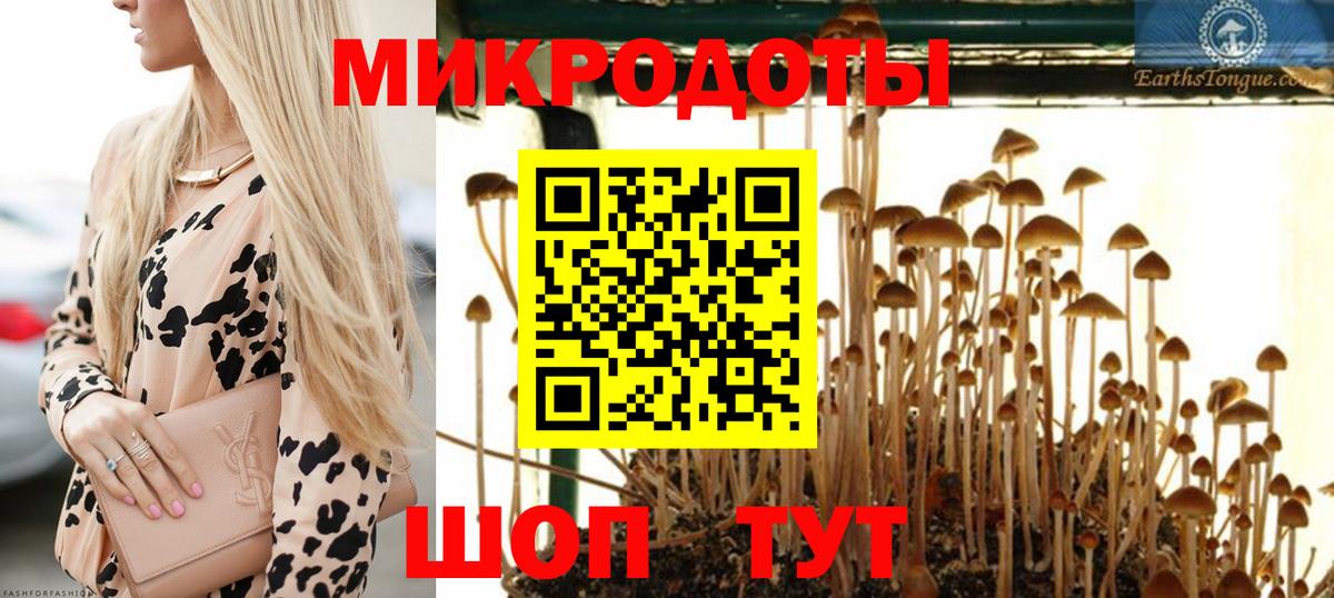 Буйнакск  даркнет сайт  Вход с VPN  Галлюциногенные грибы мицелий 
